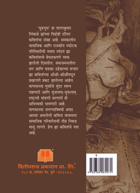 धुडगूस image 1